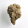 Grape Diesel | twigOG Premium Hemp Flower