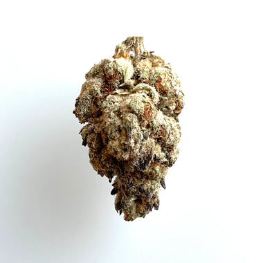Orange Creamsicle | twigOG Premium Hemp Flower
