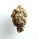 Orange Creamsicle | twigOG Premium Hemp Flower