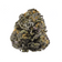 Sweet Cookies | twigOG Premium Hemp Flower